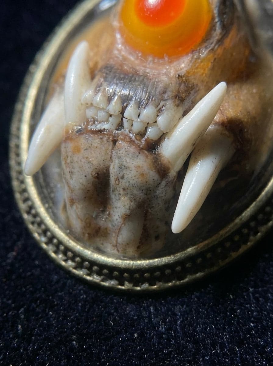 民俗暗黑守护水貂头骨恶魔之眼挂饰小众文玩项链